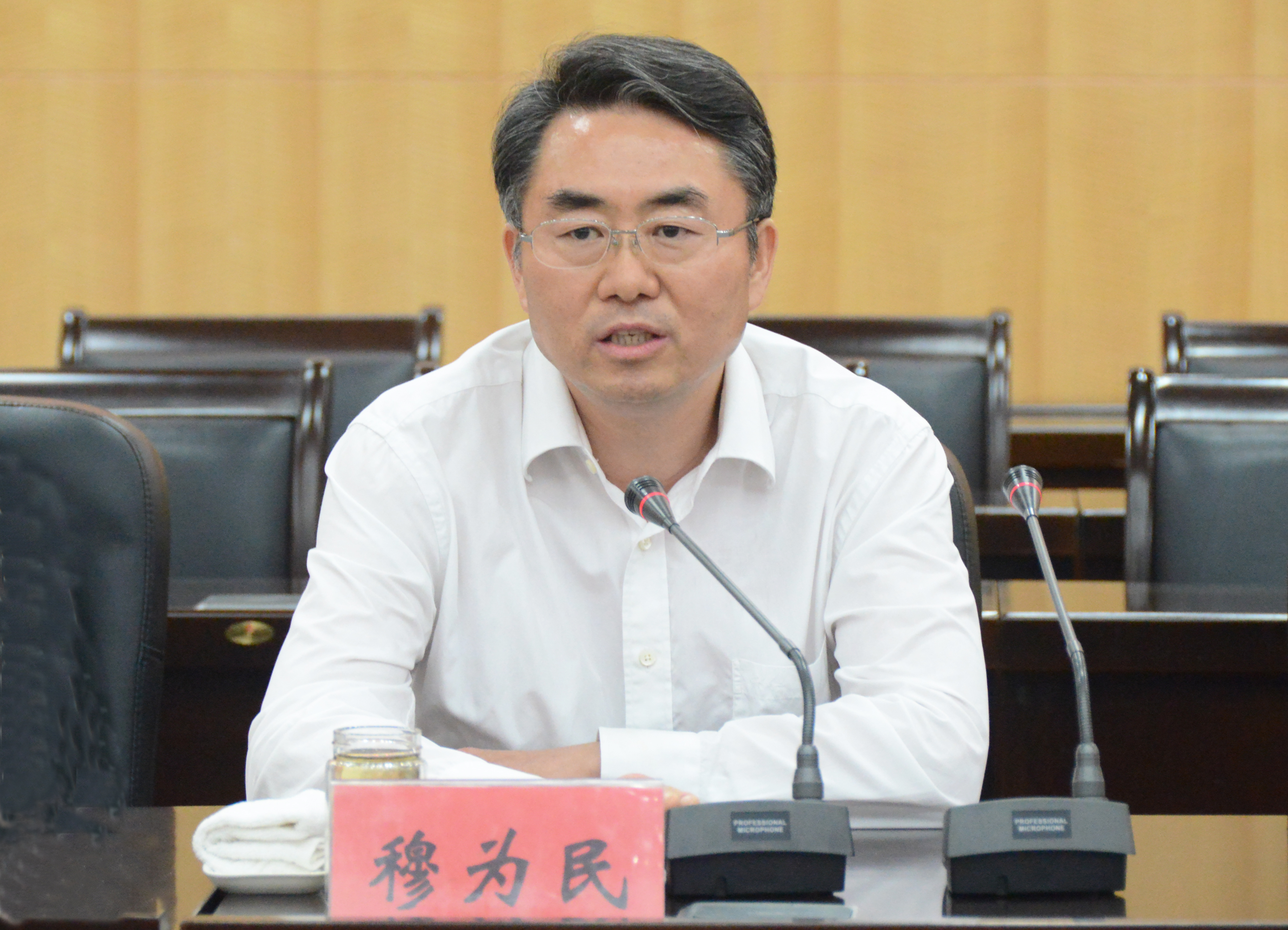 4.南阳市委书记穆为民讲话.jpg