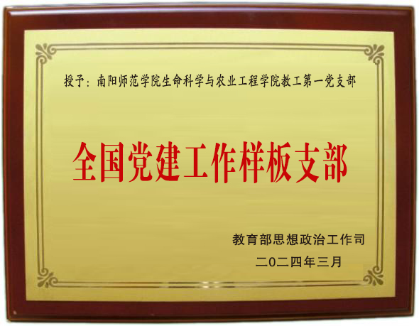 image8.jpeg