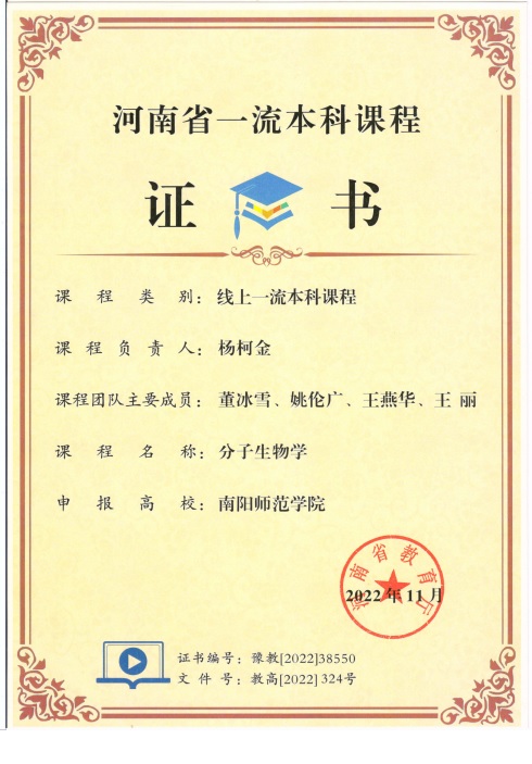 image7.jpeg