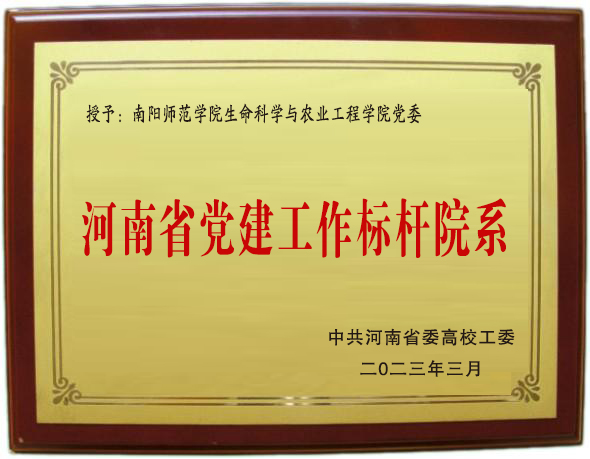image9.jpeg